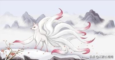 民间志怪故事:灵狐续命