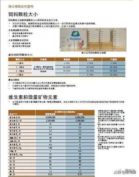蛋壳是如何形成的？破蛋、软蛋多是咋回事？