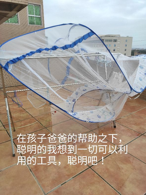 蒙古包蚊帐折叠和清洗,蒙古包蚊帐如何清洗晾晒