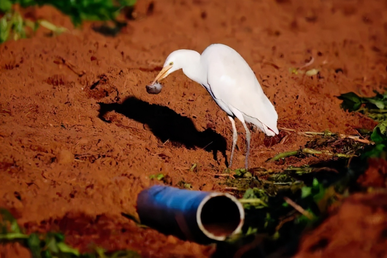 新手摄影怎么拍出质感,新手如何拍出好的作品