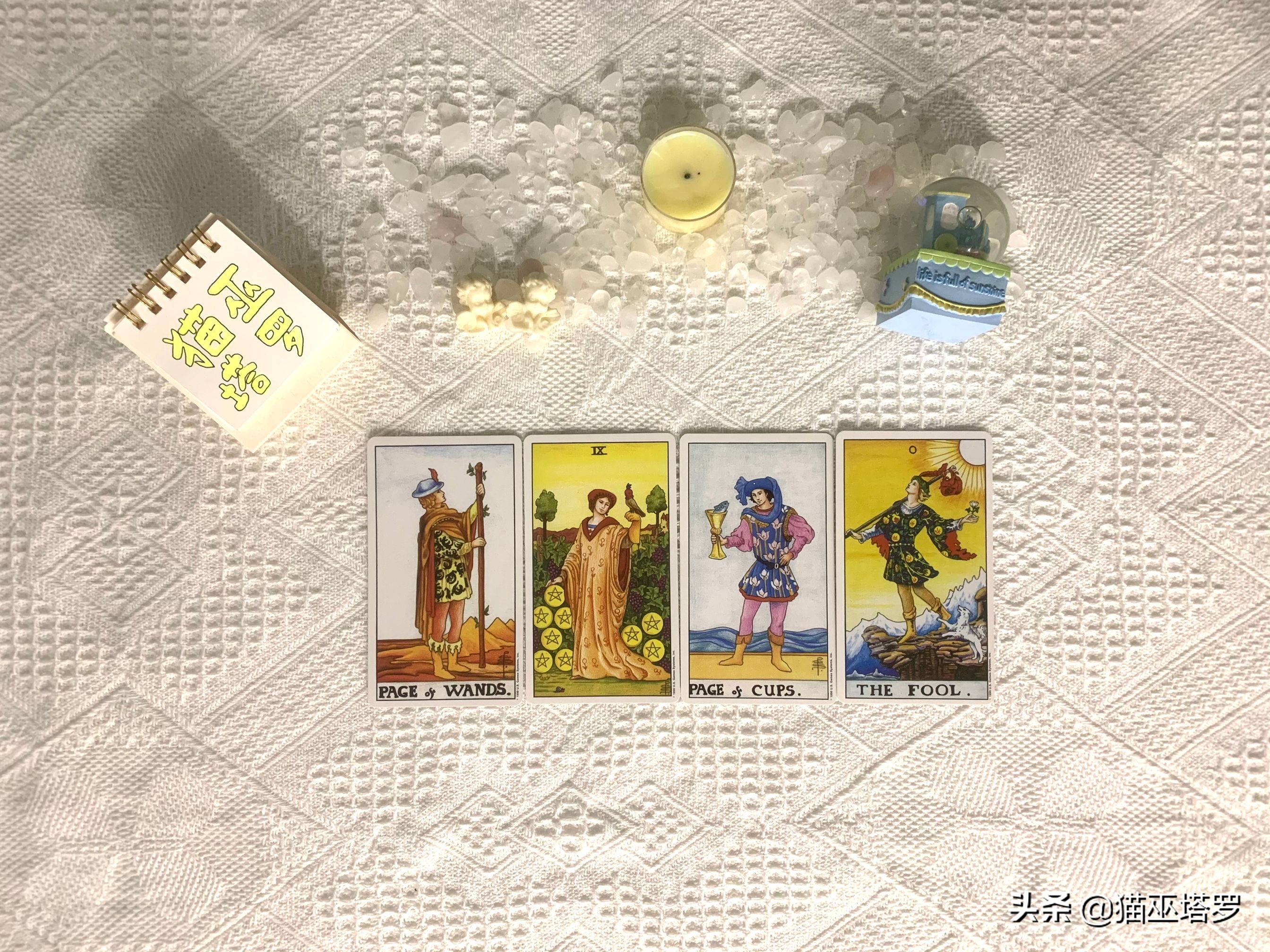 星座塔罗白羊座感情运势,猫巫塔罗最新运势