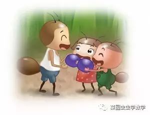 菜园种菜数学问题,菜地种菜数学问题