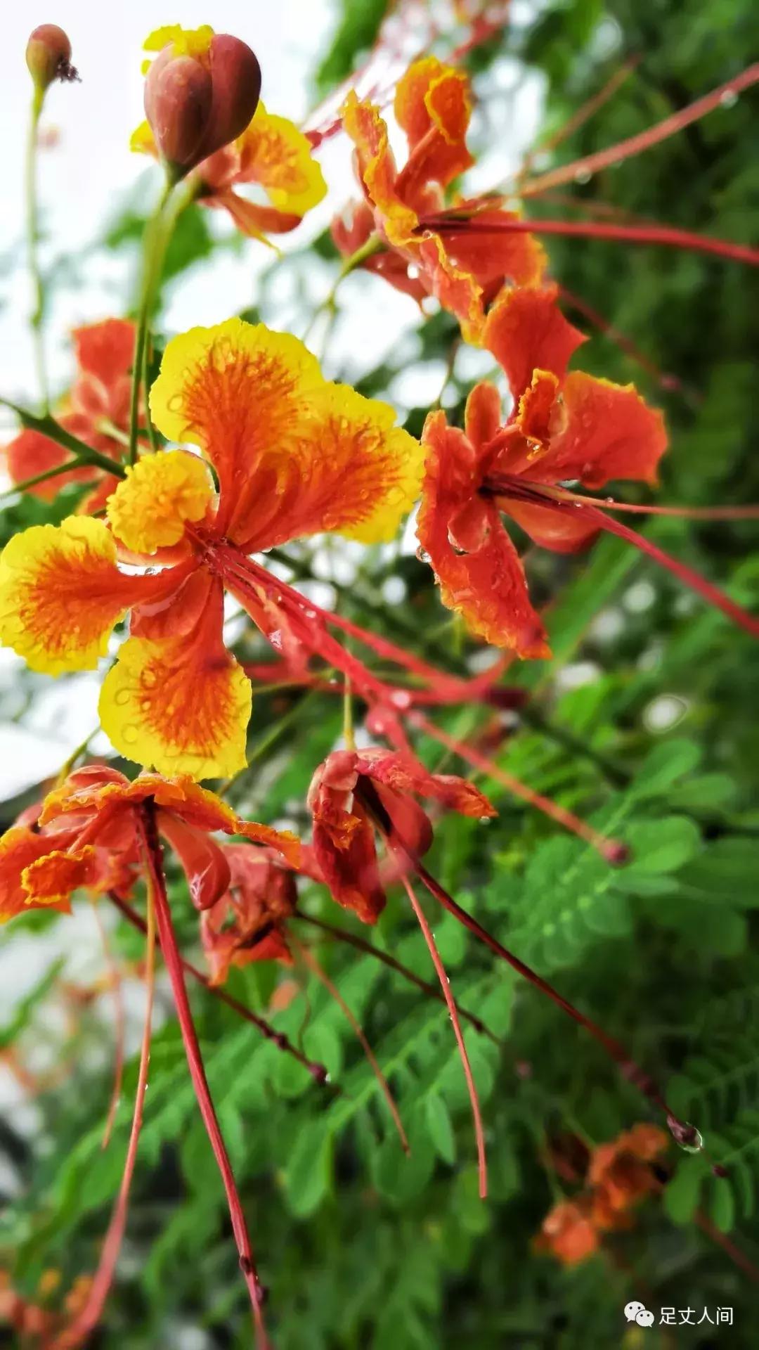 观澜版画村,观澜版画村生态艺术研学基地