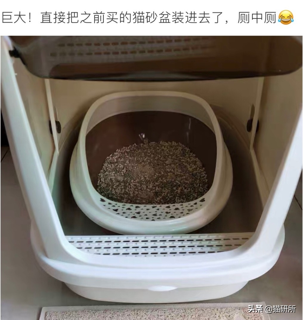 铲屎官猫砂推荐,猫砂推荐铲屎官必备