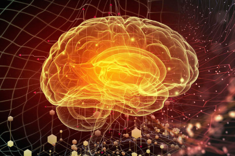 三岁前如何开发大脑让宝宝更聪明,0-3岁宝宝大脑发育及人格培养