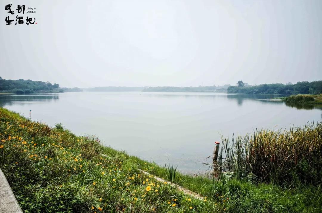 成渝中线高铁新建十陵,成渝高铁中线十陵南站建设时间