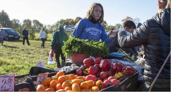 泰国大米近期是否涨价了,泰国大米为什么会涨价