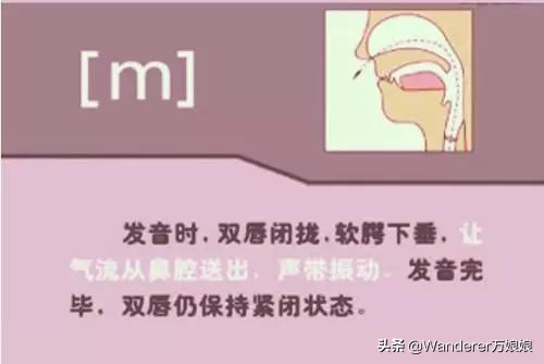 英语48个音标发音附详细图解,音标发音48个正确发音讲解视频