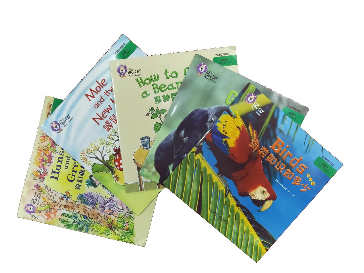 青岛朗朗国际学堂：为什么要让孩子从小读英文绘本？