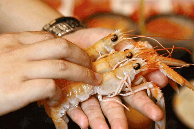 帝王蟹波龙象拔蚌,陆家嘴帝王蟹