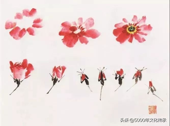 国画技法月季花写意画法详解,中国画写意月季花的详细画法