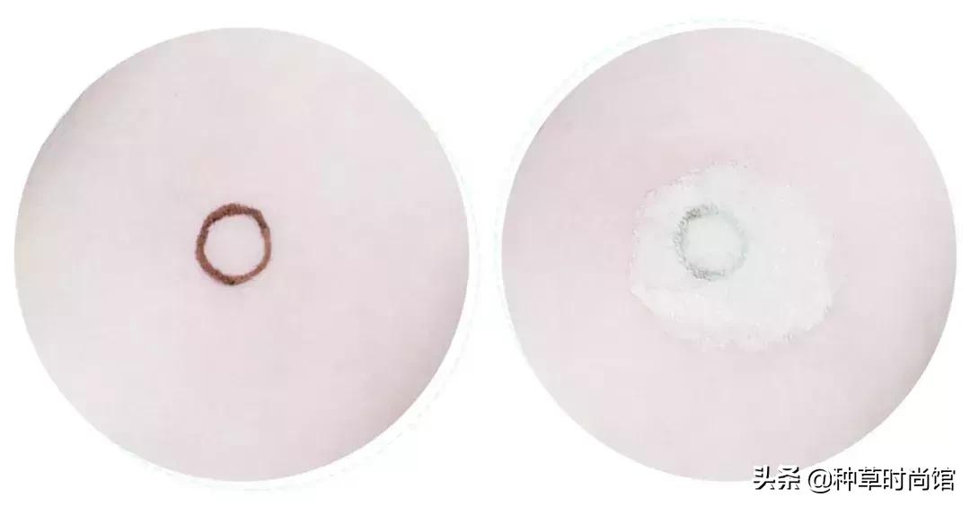 测评500ml粉底液,测评500块钱粉底液