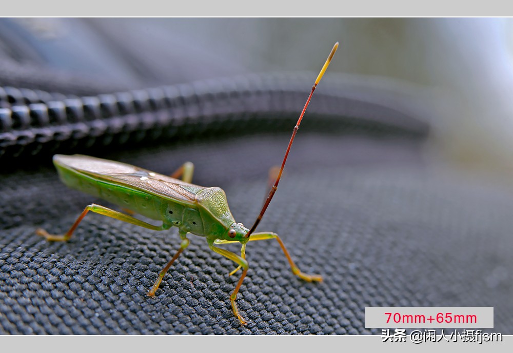 摄影三要素曝光对焦基础知识,广角的拍摄技巧及使用方法
