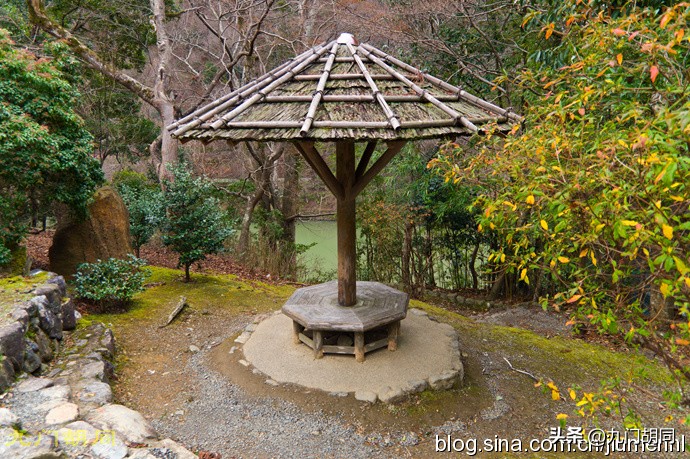 京都岚山风景区在哪,京都岚山樱花