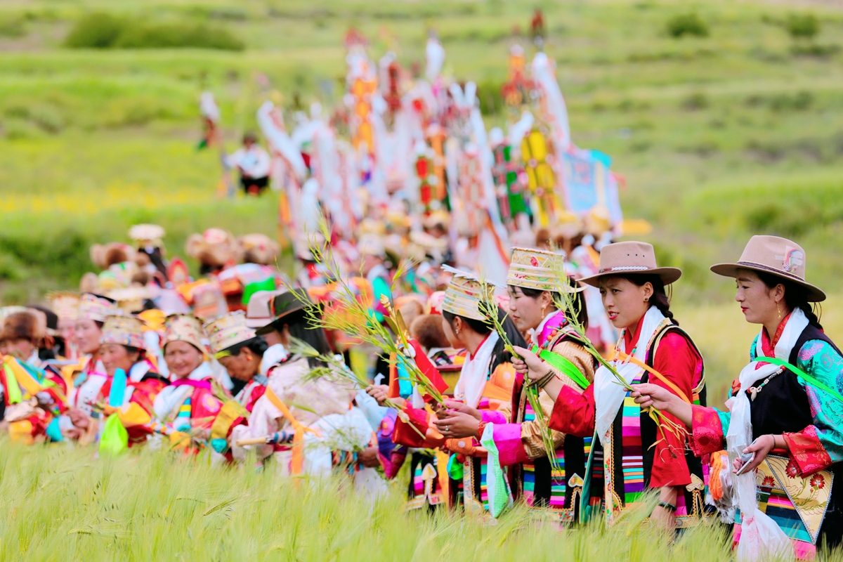 川藏线有必要带帐篷吗,川藏线上的白帐篷