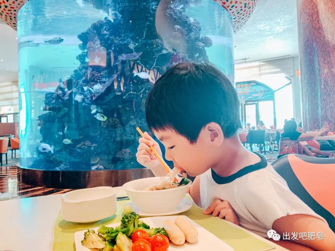 一天珠海长隆最全游玩攻略,最新的珠海长隆游玩攻略