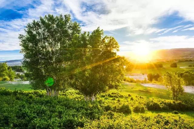 如何用好35mm焦段,35焦段拍摄的优点和缺点