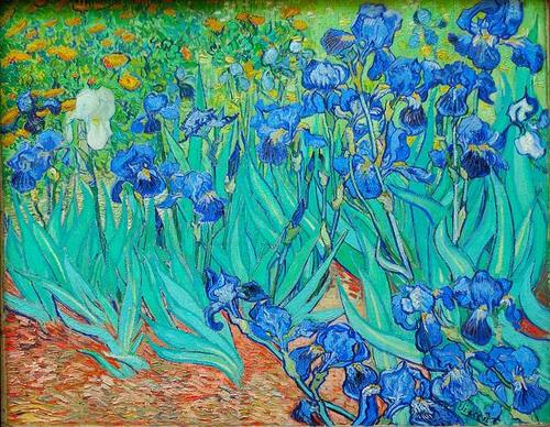 摄影大师密码：梵高和他巫术般的艺术，“憨”人的底层思维