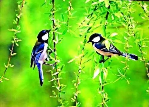 九年级下册历史第三单元知识点,九年级下册语文单元知识人教版