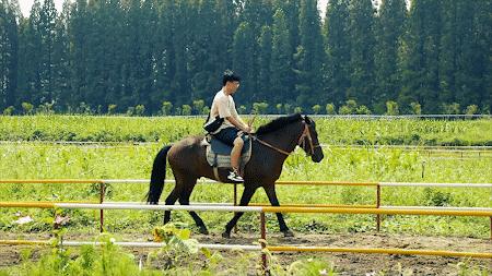 森氧之地,秋游必选!金湖万亩水上森林,真的别有趣味