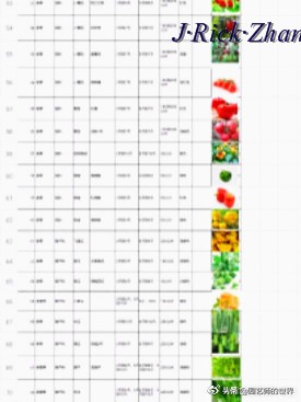 城市蔬菜园景观设计,蔬菜花园造型