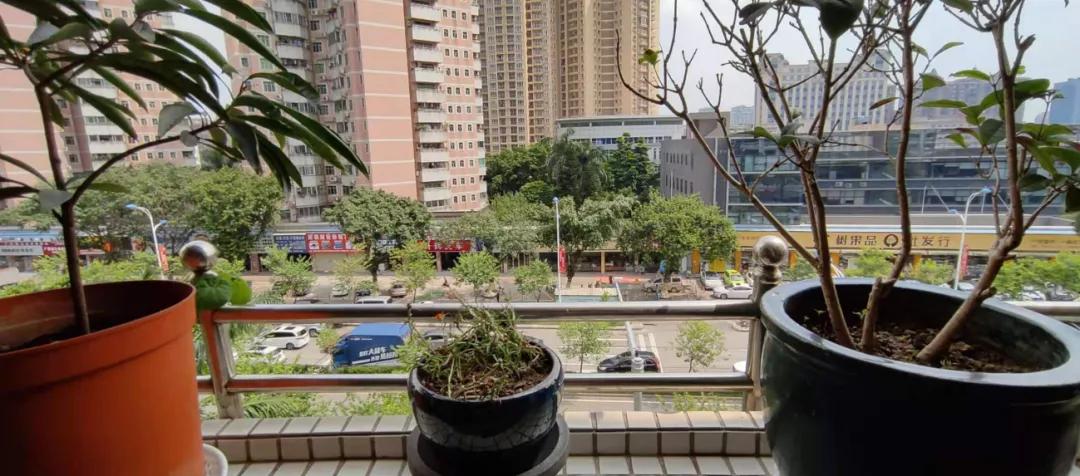 广州番禺越秀大学城星汇城踩盘,番禺踩盘