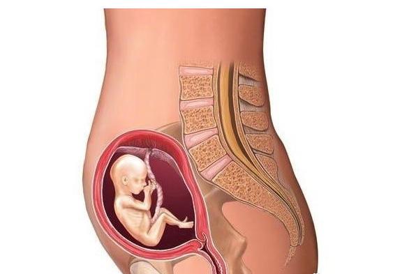 怀孕到底有多辛苦只有妈妈才知道,怀孕真辛苦