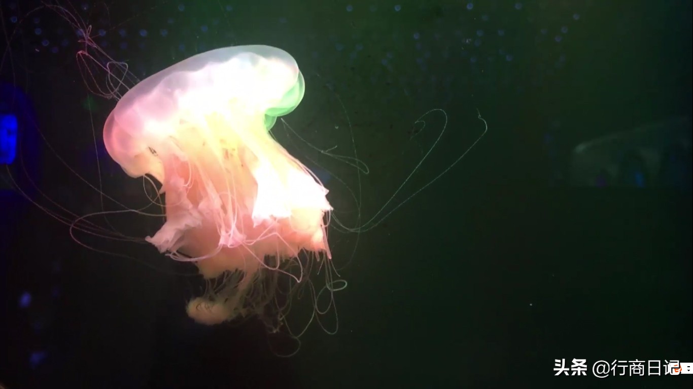 转一转:西单华威商场的潮铺街和约饭街,青春的味道