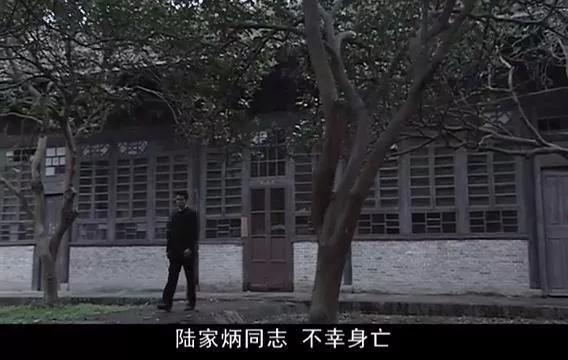 如何评价电视剧暗算的黄依依,暗算黄依依人物分析