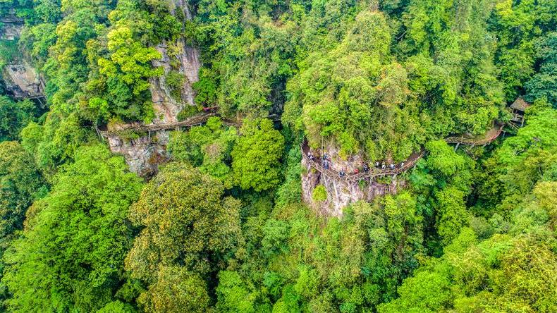 中国绿都最氧三明,中国绿都最氧三明春回大地