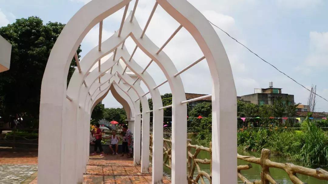 直击莆田荔枝采摘现场,莆田荔枝现摘