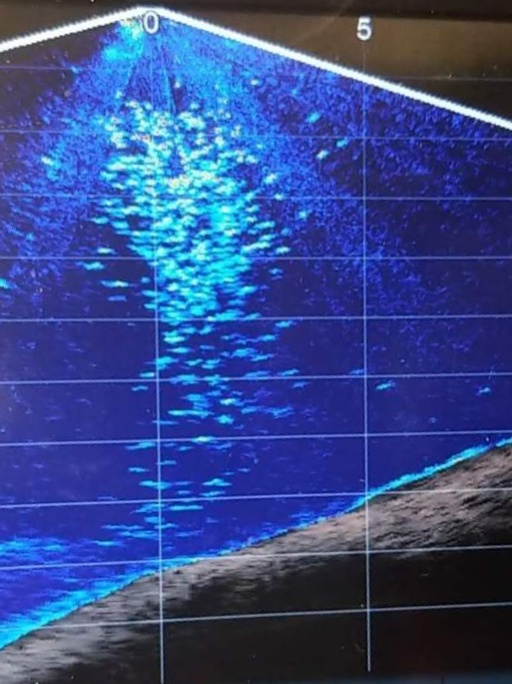 佳明探鱼器选购,路亚探鱼器选购