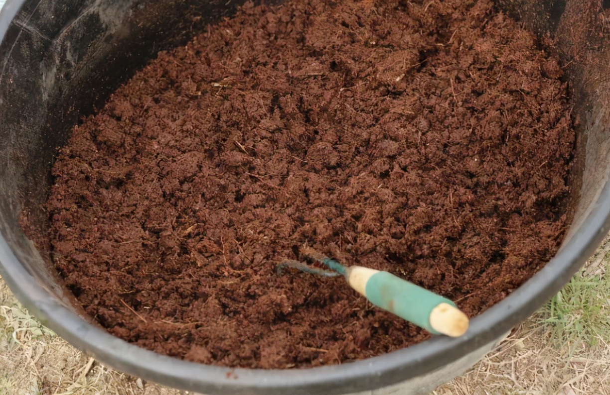 养花用酸性土还是碱性土,找不到煤渣怎么养花