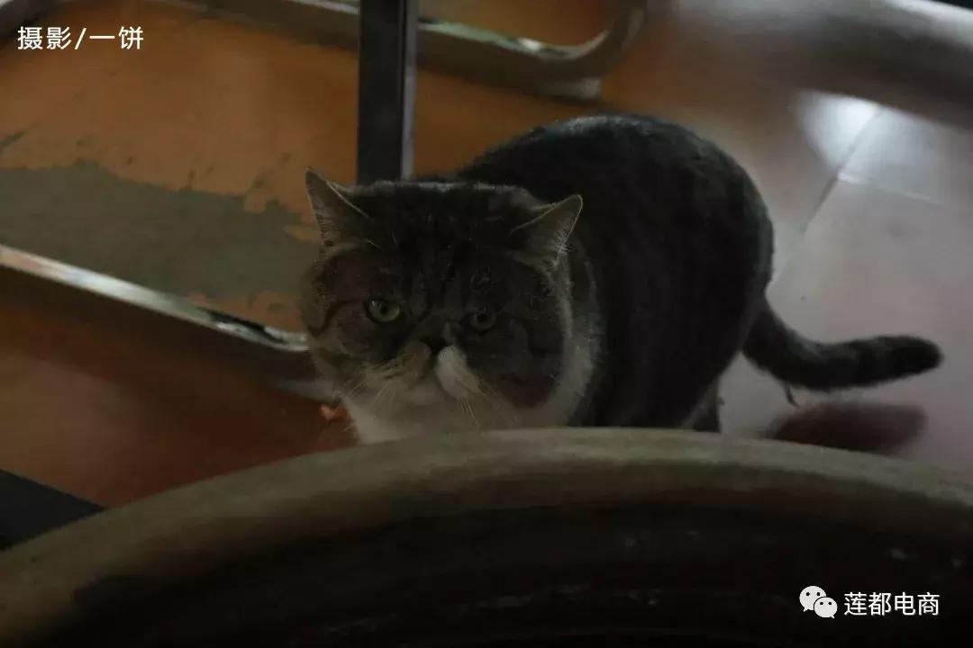 电商微观察,电商如何得好评