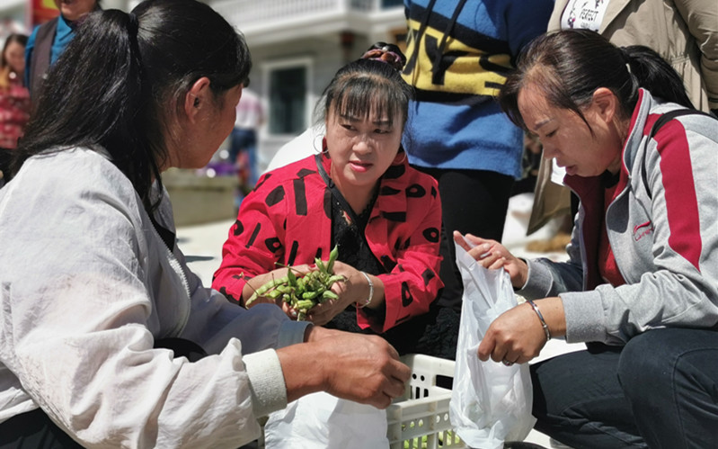 鍐滄梾缁撳悎濂忓搷涔℃潙鎸叴鏃嬪緥,婀栧寳鍞卞搷鍐滄枃鏃呰瀺鍚堝洓瀛ｆ瓕