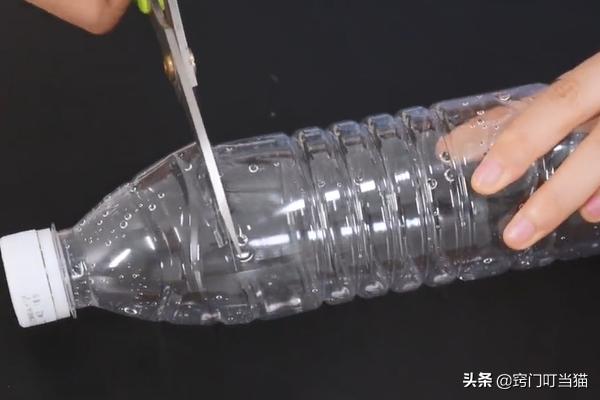 怎么灭蟑螂成功率最高,灭蟑螂误区及正确的灭蟑螂方法