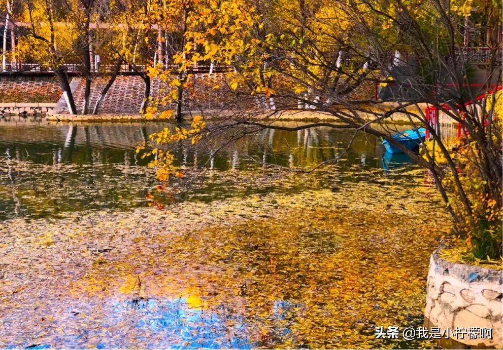 吉林师范大学位于小城市的重点大学