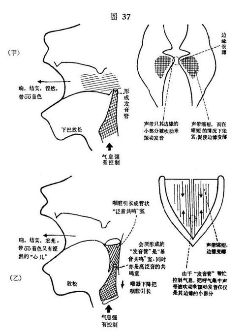 唱歌技巧高音上不去,唱歌技巧ktv