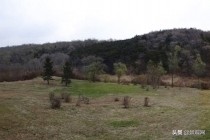 100个景观设计图,景观栈道工程设计