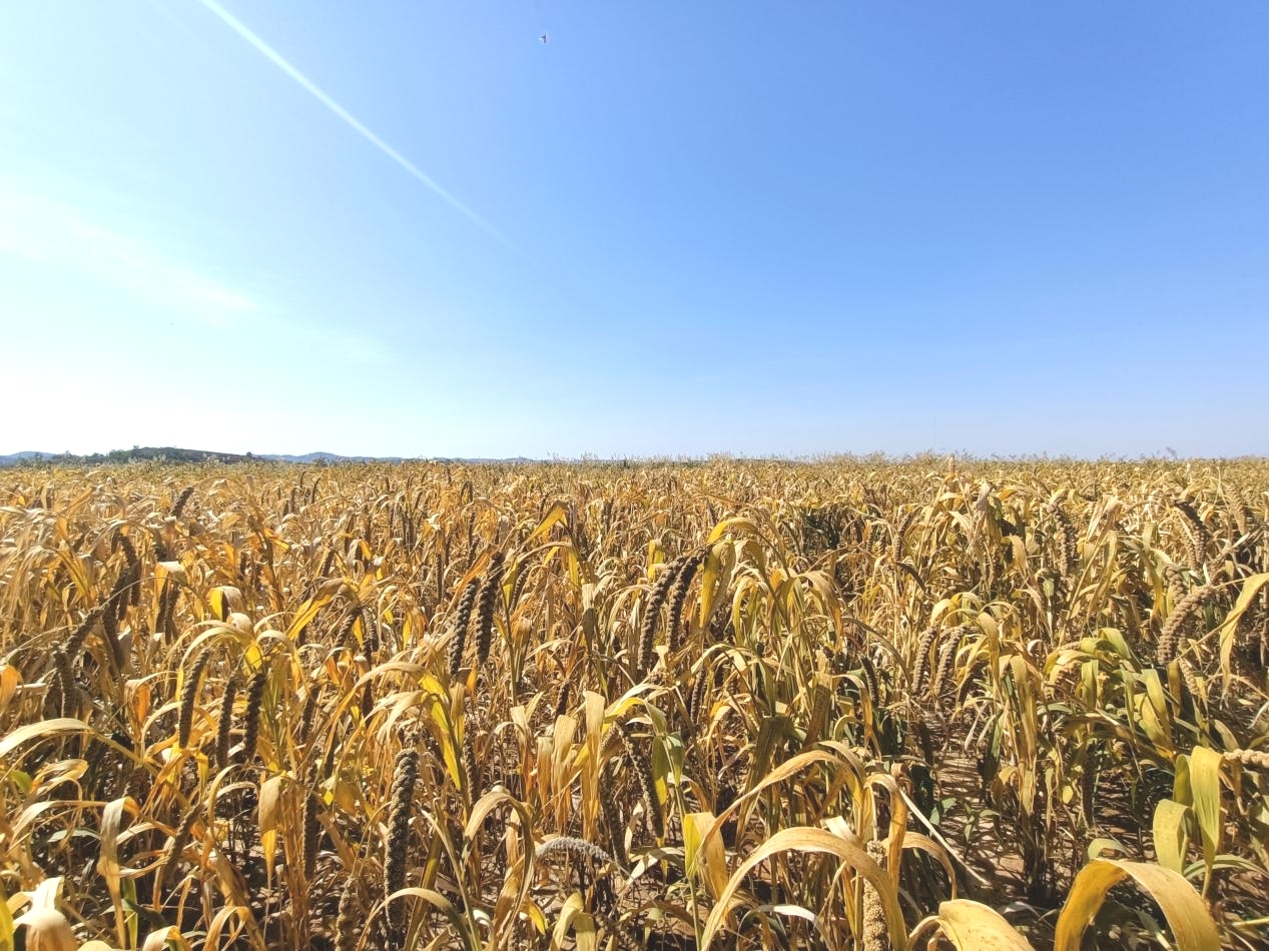 清涧郝家墕:“上帝指纹”的演变