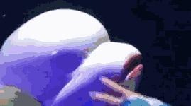 每个生命都值得被虐待,任何生命都不该被虐待