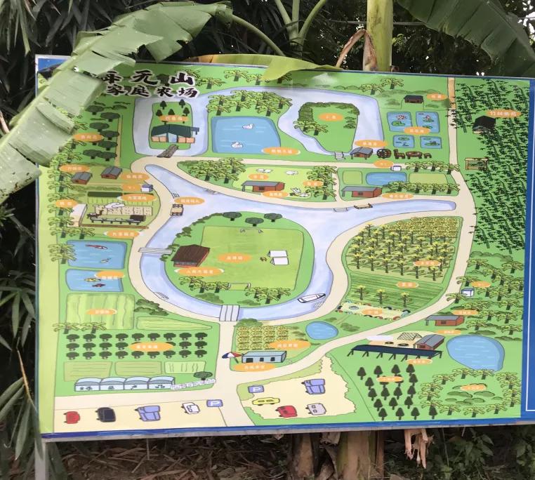 广东十大亲子农场,陈村亲子农场推荐