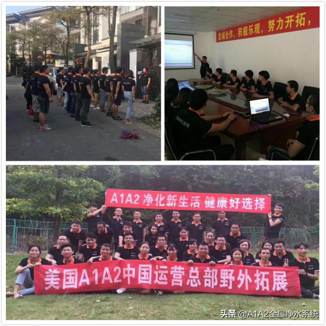 国际净水器排名前十的有哪些品牌,a1a2净水设备