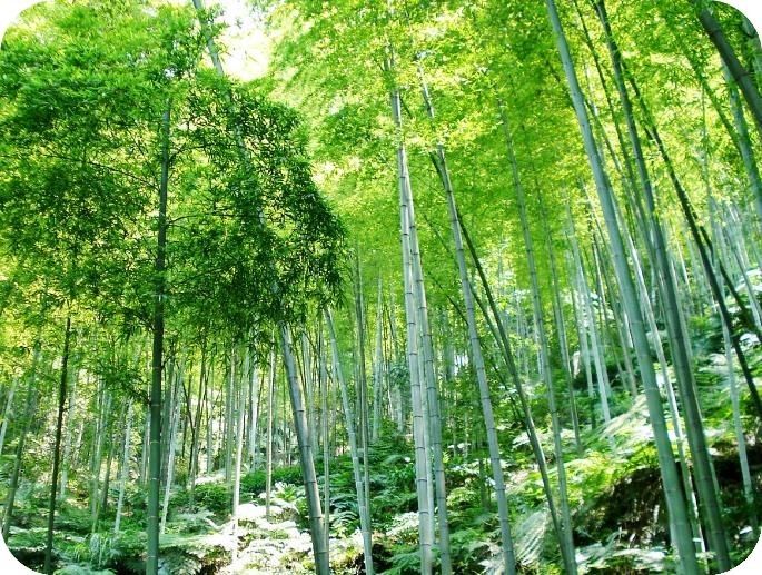 世间事世人度,世间事人间理