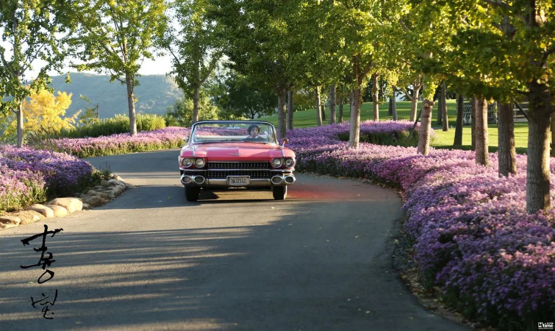 郭敬明演员请就位郭采洁催泪告白,郭敬明郭采洁大宝贝