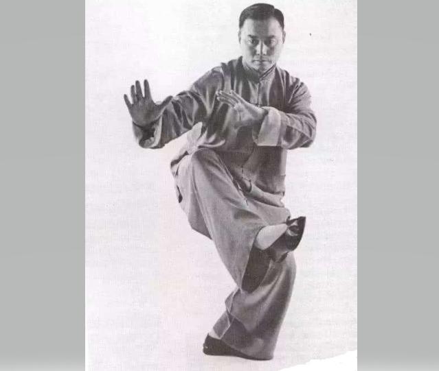 董虎岭杨氏太极拳85式视频全套,董虎岭与董继英85式杨式太极拳