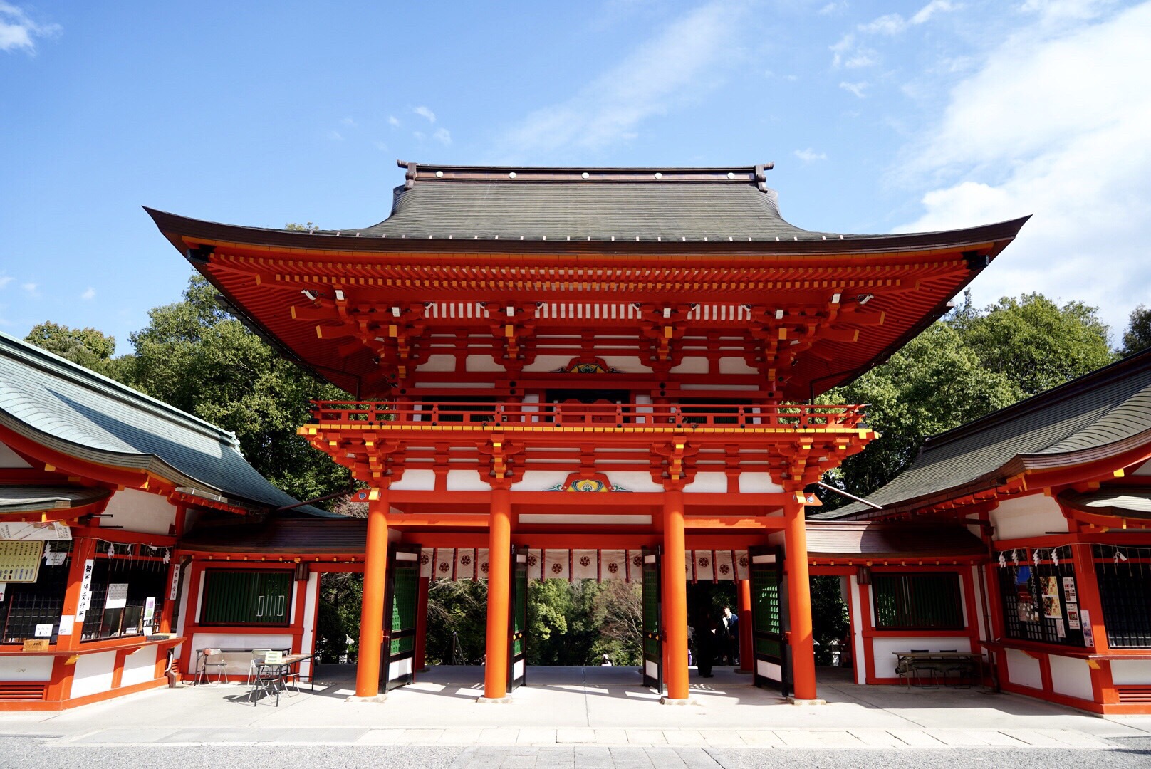 2019日本赏樱最新攻略|大津小众路线私家推荐