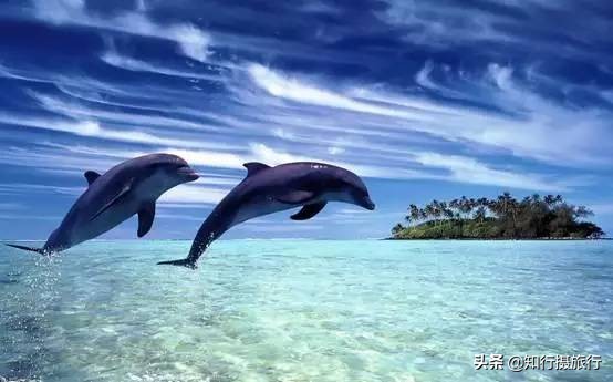 马尔代夫岛自由行攻略,马尔代夫居民岛穷游攻略