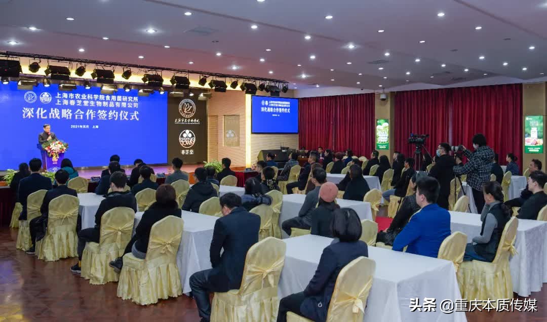 上海春芝堂食用菌,上海春芝堂食用菌最新新闻