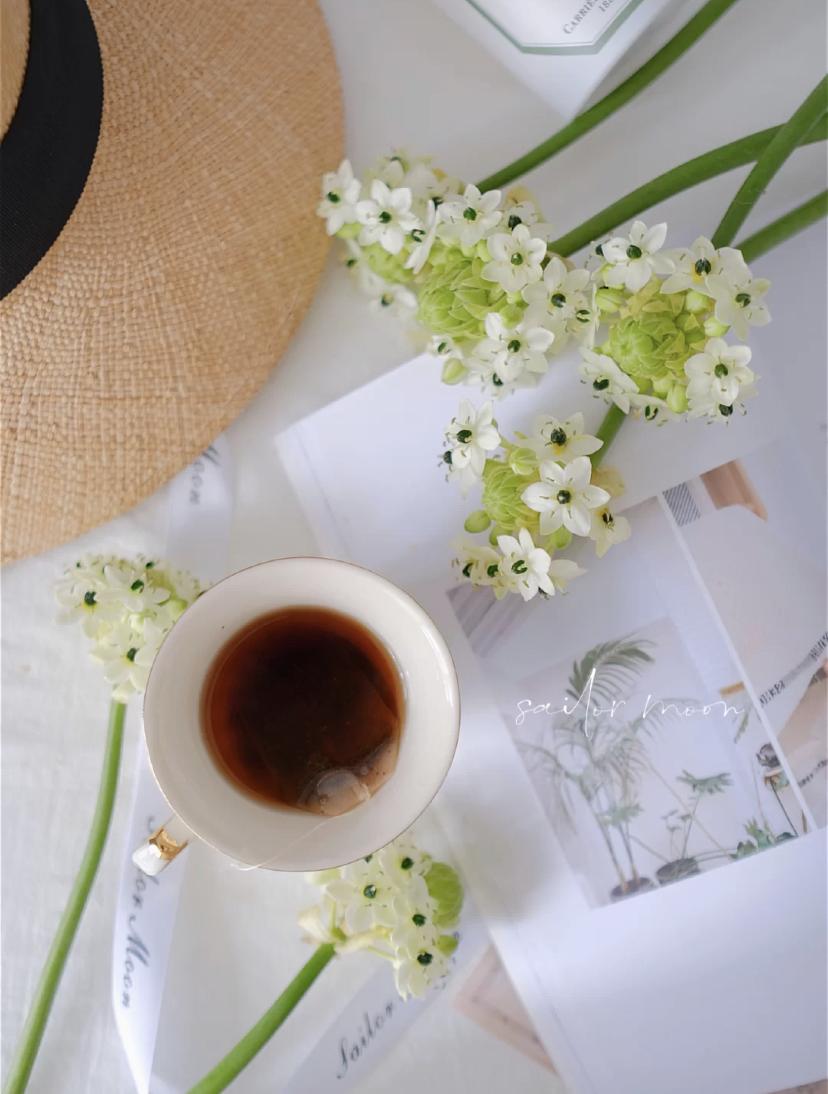 家里要有氛围感什么花比较好,家里高级的花